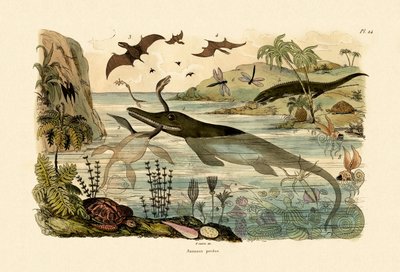 Prehistoric Animals, 1833-39 by French School